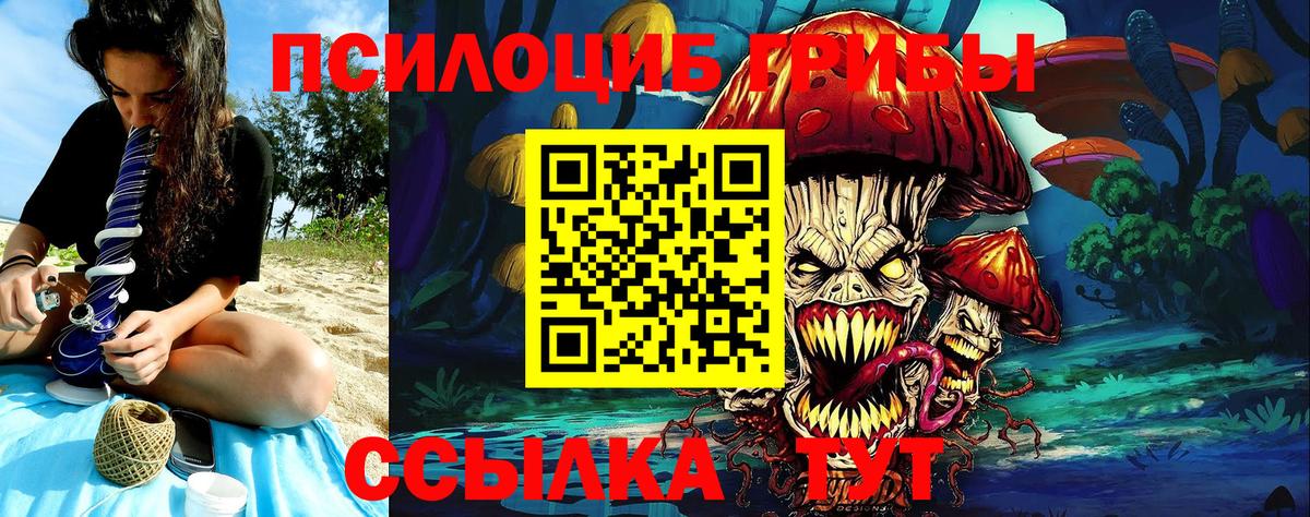 Псилоцибиновые грибы GOLDEN TEACHER Отрадное