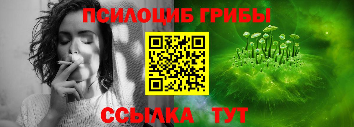 продажа наркотиков  Вход с VPN  Отрадное  Галлюциногенные грибы мухоморы 